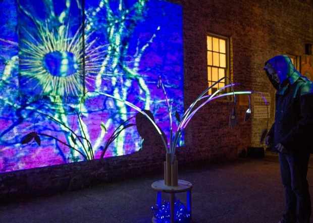 ContentImage-1157-142595-622695_10151306430123669_335446991_o[1]