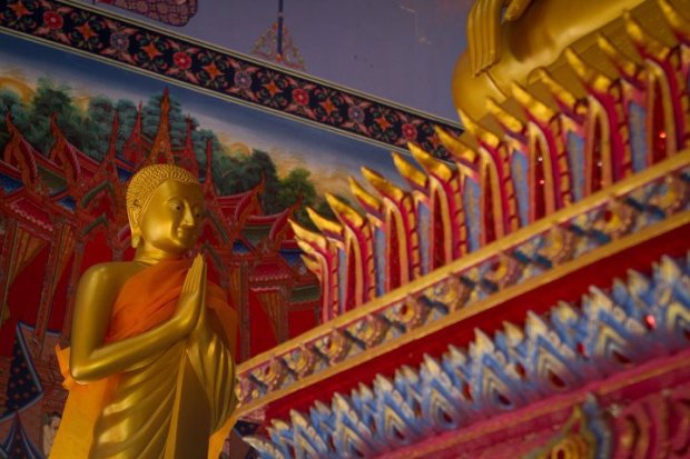 285094_243817148985074_1236888_n